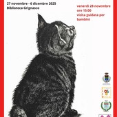 Grignasco celebra Franco Fizzotti: in Biblioteca la mostra “Sguardi Felini e Altri Racconti”