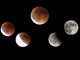 Eclissi totale di Luna: il Biellese assiste alla “Luna rossa” - Foto di Enrico Eletto