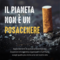 Giornata mondiale senza tabacco: non solo fumo, i mozziconi minacciano ambiente e salute Giornata mondiale senza tabacco: non solo fumo, i mozziconi minacciano ambiente e salute