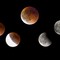 Eclissi totale di Luna: il Biellese assiste alla “Luna rossa” - Foto di Enrico Eletto