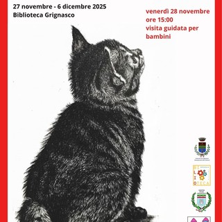 Grignasco celebra Franco Fizzotti: in Biblioteca la mostra “Sguardi Felini e Altri Racconti” Grignasco celebra Franco Fizzotti: in Biblioteca la mostra “Sguardi Felini e Altri Racconti”