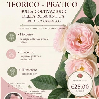 A Grignasco un corso teorico-pratico dedicato alla coltivazione della rosa antica