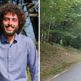 Quando il verde invade le strade: rischi, regole e buone pratiche per intervenire consapevolmente