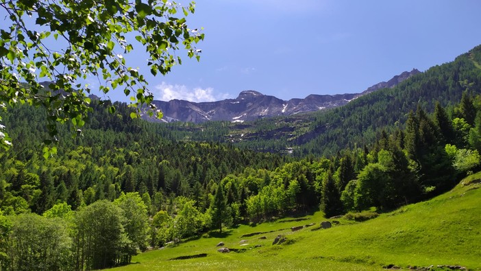 Classificazione dei comuni montani, Uncem: "Cambiare i criteri finirebbe per creare attriti e incomprensioni" Classificazione dei comuni montani, Uncem: "Cambiare i criteri finirebbe per creare attriti e incomprensioni"