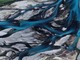 Biblioteca di Varallo, &quot;Uomo e Natura: Visioni dall'Alto&quot; mostra di fotografie satellitari