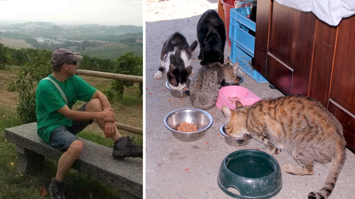Benessere animale nel Biellese, quattro proposte contro randagismo e abbandono