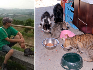 Benessere animale nel Biellese, quattro proposte contro randagismo e abbandono Benessere animale nel Biellese, quattro proposte contro randagismo e abbandono