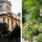 Il “Giardino dei Semplici” di Varallo protagonista al Meeting Nazionale Comuni Fioriti 2025