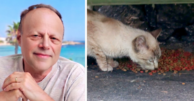 Randagismo felino: prevenire le nascite per ridurre la sofferenza Randagismo felino: prevenire le nascite per ridurre la sofferenza