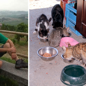 Benessere animale nel Biellese, quattro proposte contro randagismo e abbandono