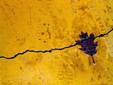 Varallo, in Biblioteca la mostra fotografica “Astrazioni urbane” di Sergio Lombardi