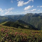 Domani sarà Panoramica Zegna Valdilana Bike Day