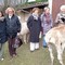Valdilana, l’Inner Wheel Valsesia visita Alpacone: dagli alpaca ai filati di pregio
