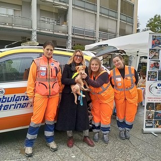 Borgosesia e Ambulanze Veterinarie Italia: primo anno di convenzione archiviato con numeri e interventi