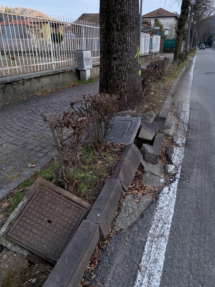 Borgosesia, al via l’abbattimento di circa 15 alberi in viale Rimembranze: “Scelta sofferta, ma prioritaria la sicurezza” Borgosesia, al via l’abbattimento di circa 15 alberi in viale Rimembranze: “Scelta sofferta, ma prioritaria la sicurezza”