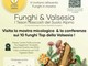 Funghi protagonisti a Scopello: mostra, conferenza e Sagra il 6 settembre Funghi protagonisti a Scopello: mostra, conferenza e Sagra il 6 settembre