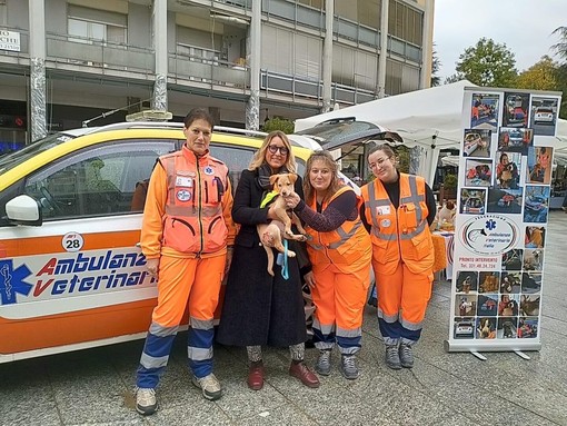 Borgosesia e Ambulanze Veterinarie Italia: primo anno di convenzione archiviato con numeri e interventi