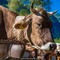 Dal 2027 le fiere agricole valsesiane entreranno nel calendario regionale Dal 2027 le fiere agricole valsesiane entreranno nel calendario regionale