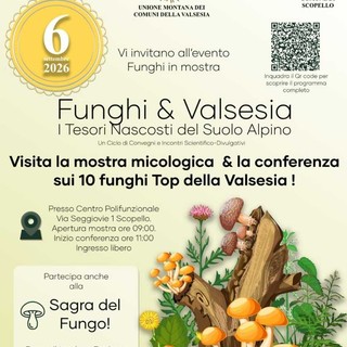Funghi protagonisti a Scopello: mostra, conferenza e Sagra il 6 settembre