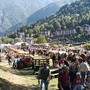 Scopello, grande partecipazione alla Fiera Agricola: il premio Paolo Ferraris all’Azienda Agricola Cottini Scopello, grande partecipazione alla Fiera Agricola: il premio Paolo Ferraris all’Azienda Agricola Cottini