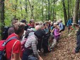 Oltre 40 partecipanti alla camminata sul Monte Fenera dedicata a Sandro Orsi