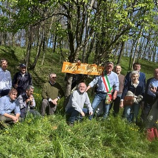 Varallo in Fiore, due giorni dedicati alle morchelle tra Parone, Quarona e Villa Virginia