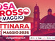 Gattinara si veste di festa: torna “Rosa e Rosso di Maggio” il 24 e 25 maggio 2025