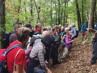 Oltre 40 partecipanti alla camminata sul Monte Fenera dedicata a Sandro Orsi Oltre 40 partecipanti alla camminata sul Monte Fenera dedicata a Sandro Orsi
