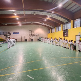 Taekwondo Gattinara: sport, passione e formazione per i giovani atleti