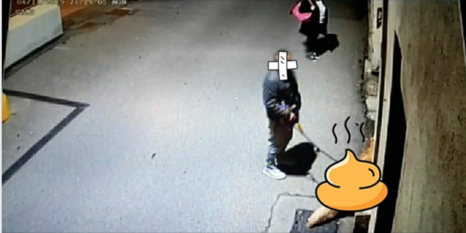 Non pulisce gli escrementi del cane: rischia 800 euro di multa