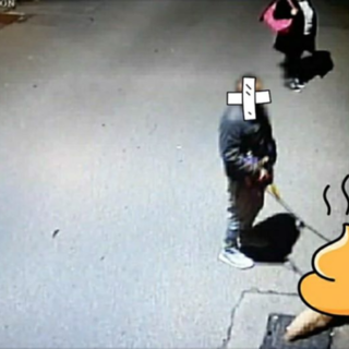 Non pulisce gli escrementi del cane: rischia 800 euro di multa