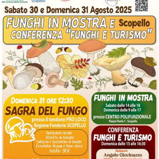 Scopello, alla scoperta dei funghi tra cultura e gusto: Mostra micologica e Sagra del Fungo