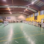 Taekwondo Gattinara: sport, passione e formazione per i giovani atleti