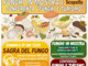 Scopello, alla scoperta dei funghi tra cultura e gusto: Mostra micologica e Sagra del Fungo