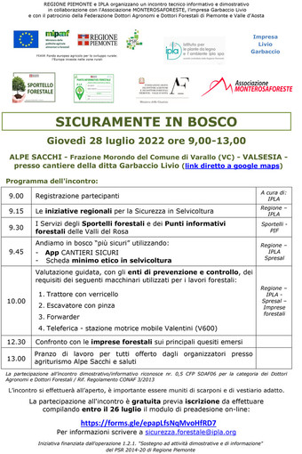 Sicuramente in bosco all'Alpe Sacchi  il 28 luglio