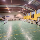 Taekwondo Gattinara: sport, passione e formazione per i giovani atleti