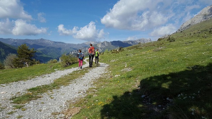 Costruzioni e turismo trainano il Pil Piemonte nel 2026, ma facciamo peggio di Italia ed Europa Costruzioni e turismo trainano il Pil Piemonte nel 2026, ma facciamo peggio di Italia ed Europa