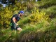 Si avvicina il Trail Oasi Zegna, oltre 400 gli iscritti