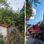 Pianta crolla su un'abitazione: intervengono i Vigli del Fuoco di Arona e Romagnano Sesia