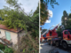 Pianta crolla su un'abitazione: intervengono i Vigli del Fuoco di Arona e Romagnano Sesia