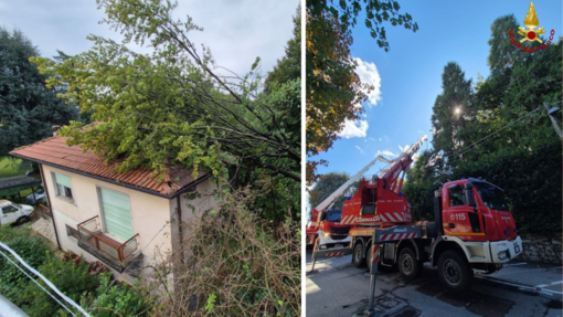 Pianta crolla su un'abitazione: intervengono i Vigli del Fuoco di Arona e Romagnano Sesia