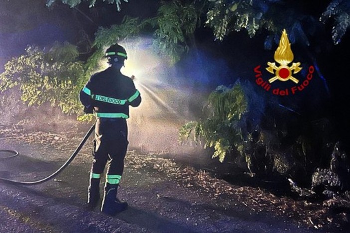 Incendio di sterpaglie in corso Rigola a Vercelli: intervento tempestivo dei Vigili del Fuoco scongiura danni maggiori