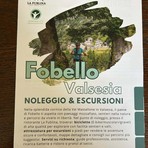 Fobello, noleggio bici e attrezzatura per scoprire la Val Mastallone Fobello, noleggio bici e attrezzatura per scoprire la Val Mastallone