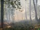 Incendi, il Piemonte regge ma l’Italia brucia: Legambiente lancia l’allarme e chiede un cambio di passo