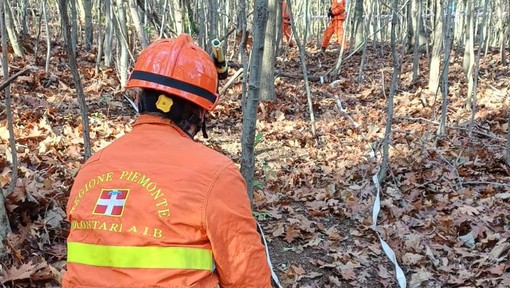 Bornate e la rete dei sentieri: pulizia, sicurezza e manutenzioni grazie a Regione e volontari Bornate e la rete dei sentieri: pulizia, sicurezza e manutenzioni grazie a Regione e volontari