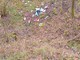 Area boschiva vicino alla Madonna di Rado vittima di abbandono - foto dalla pag. fb del Comitato SalvAmbiente Gattinara Area boschiva vicino alla Madonna di Rado vittima di abbandono - foto dalla pag. fb del Comitato SalvAmbiente Gattinara