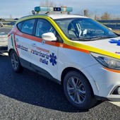 Vercelli, liberati i caprioli in autostrada