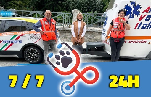 Borgosesia, attivato il servizio di ambulanza veterinaria: Assitenza agli animali per aiutare le famiglie