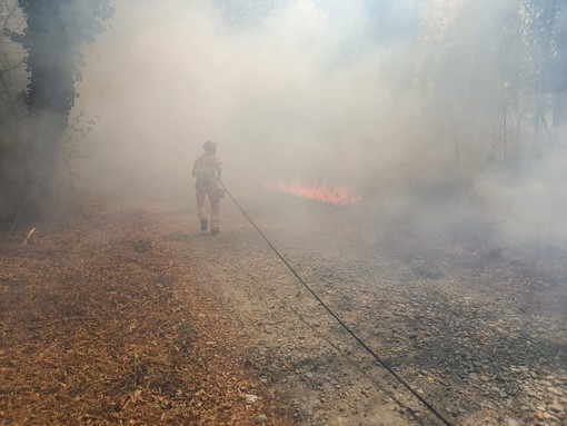 Gattinara, incendio nei pressi di San Sebastiano: rapido intervento dei volontari AIB