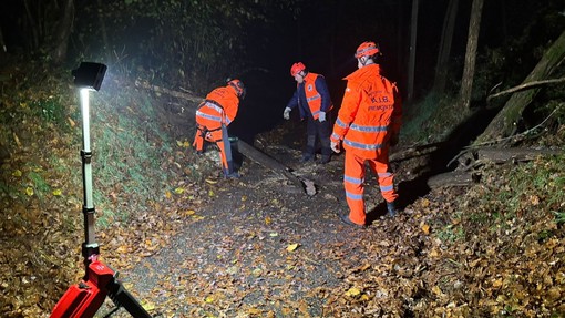 AIB Varallo Pombia, immediato banco di prova dopo il corso: volontari subito in azione per alberi caduti